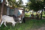 TANZANIA - Pemba Island - 131